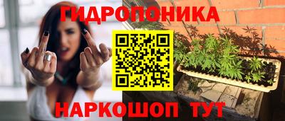 ECSTASY Пушкино