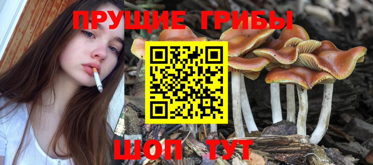 Ноябрьск  Псилоцибиновые грибы Cubensis  Вход с VPN 