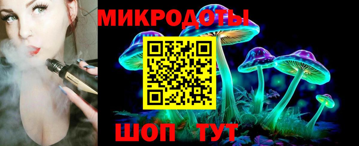 Псилоцибиновые грибы Psilocybine cubensis Ноябрьск